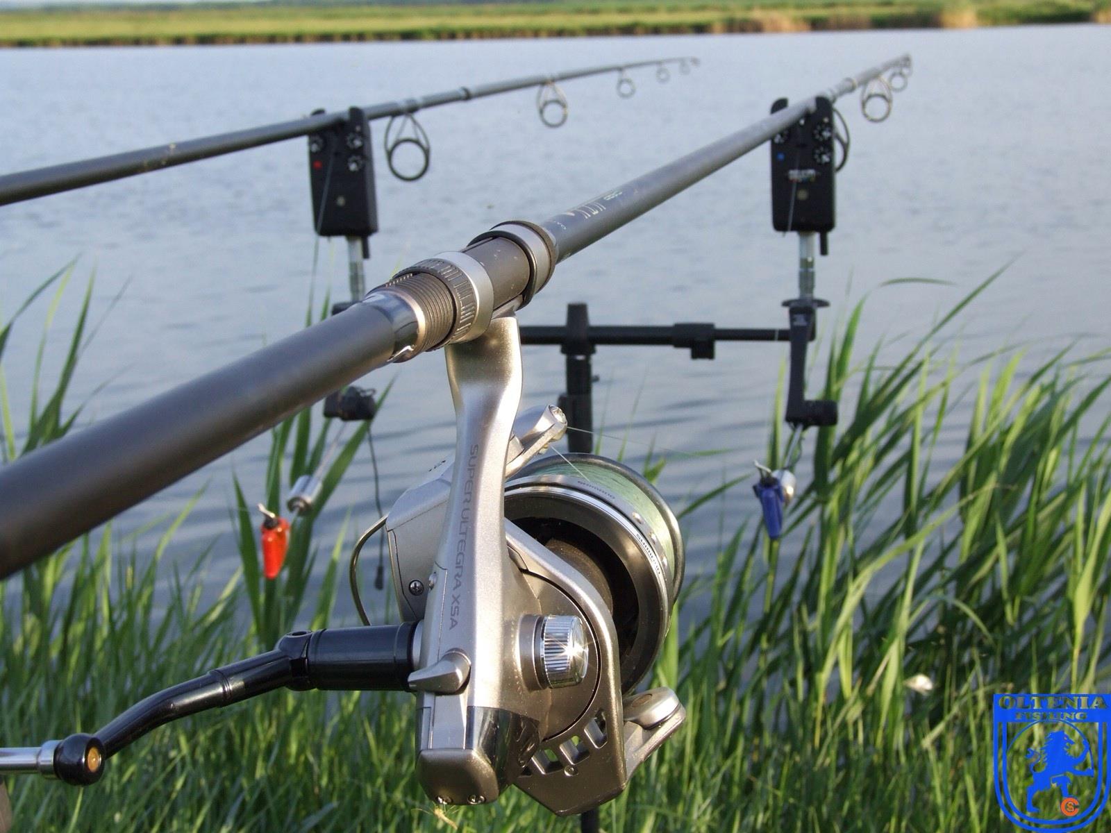 2013 - 2 - image1111111111111111111.jpg